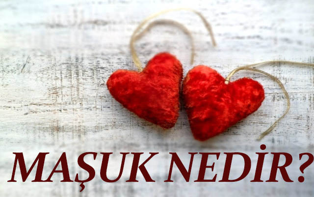 MAŞUK NEDİR? 1