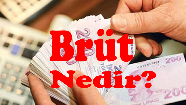 BRÜT NEDİR? 1