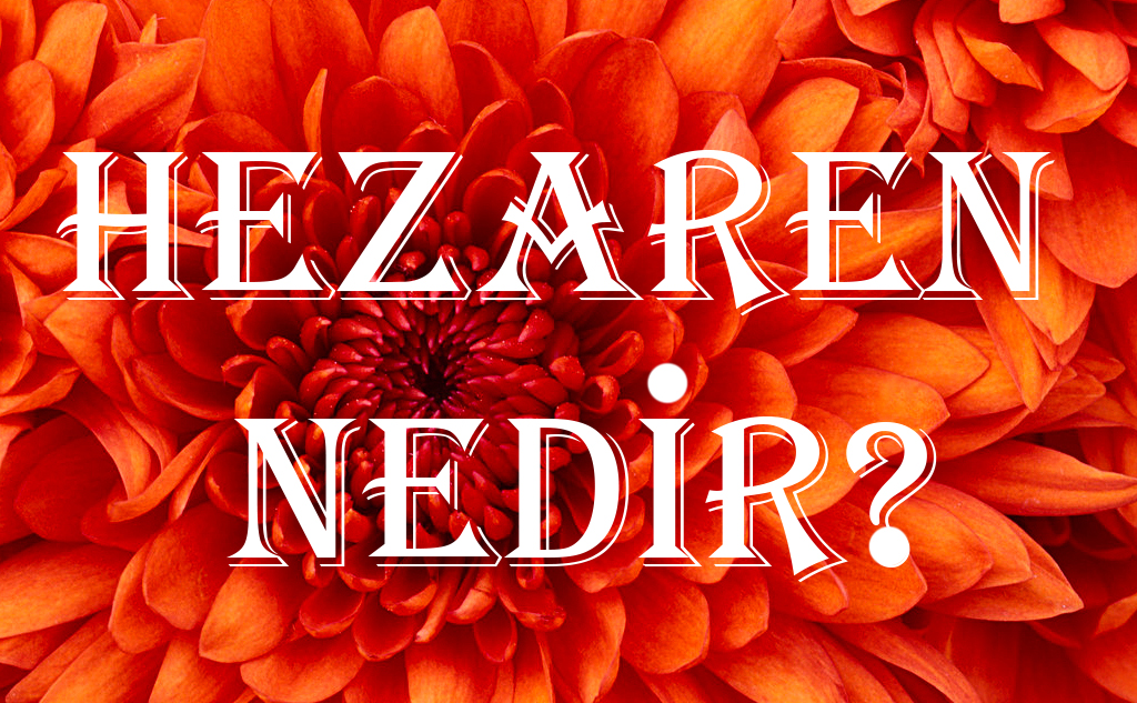 Hezaren Nedir? 1