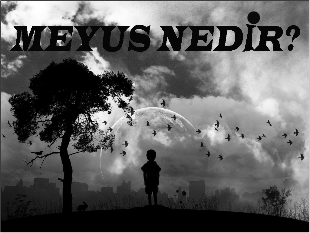 MEYUS NEDİR? 1