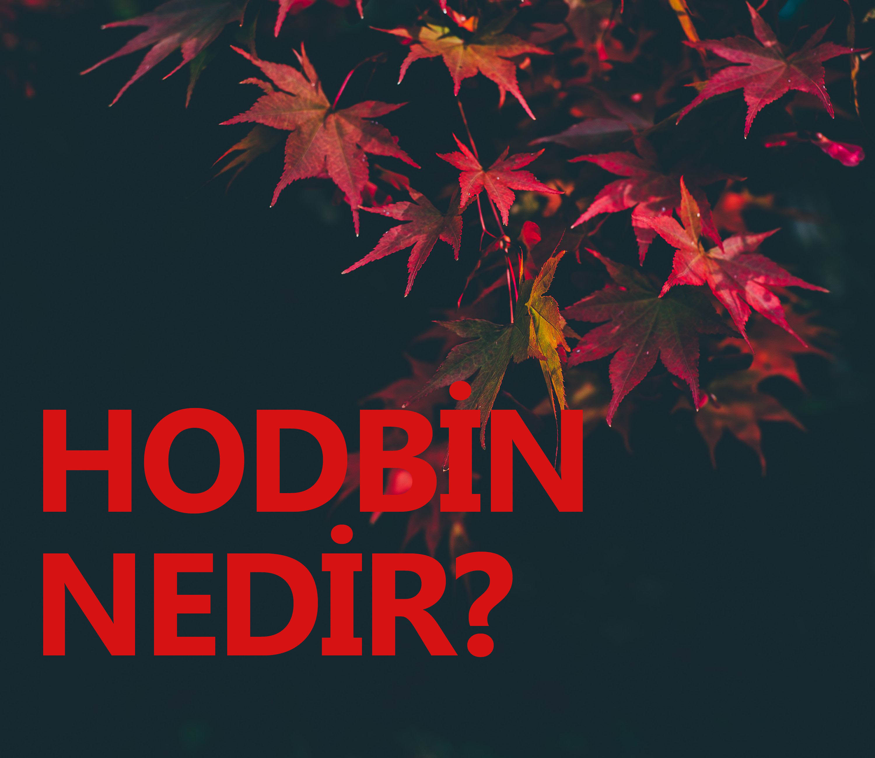 HODBİN NEDİR? 1