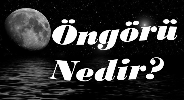 ÖNGÖRÜ NEDİR? 1