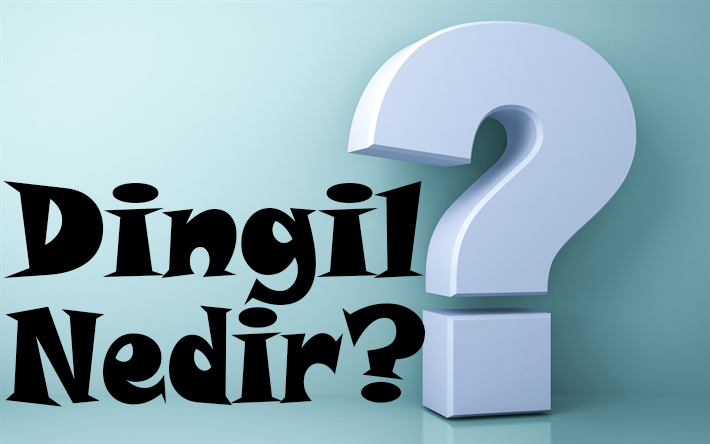 DİNGİL NEDİR? 1