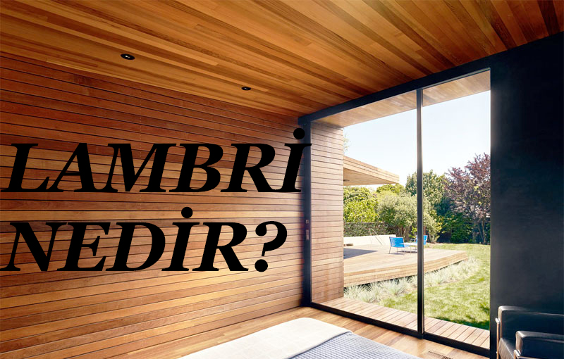 LAMBRİ NEDİR? 1