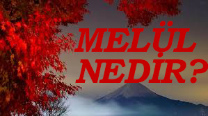 MELÜL NEDİR? 1