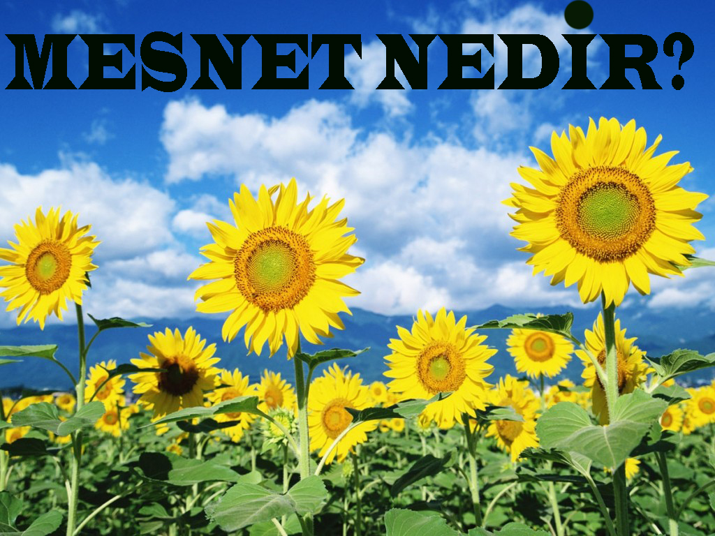 MESNET NEDİR? 2