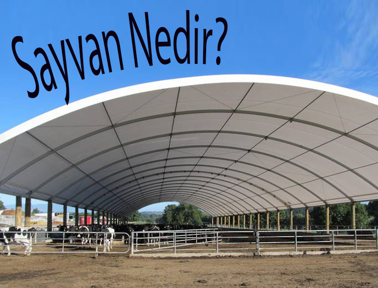 SAYVAN NEDİR? 1