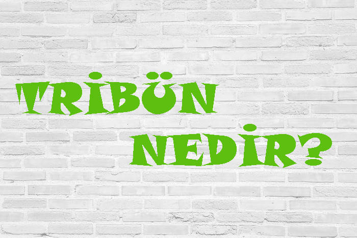 TRİBÜN NEDİR? 4