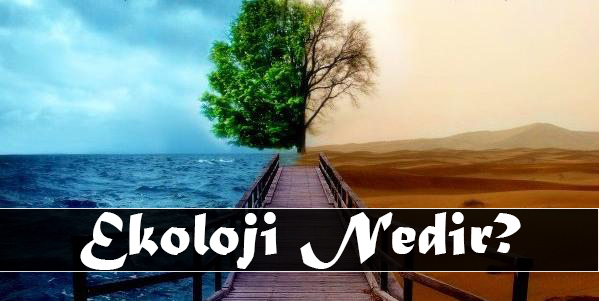 EKOLOJİ NEDİR? 5