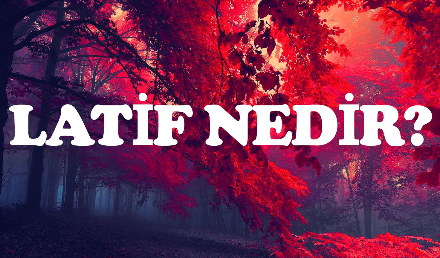 LATİF NEDİR? 1