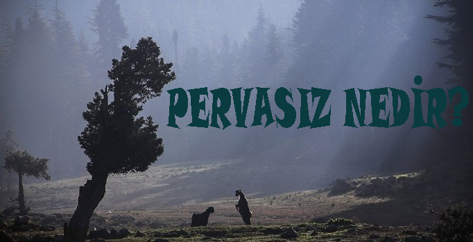 PERVASIZ NEDİR? 1