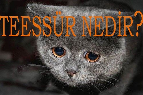 TEESSÜR NEDİR? 1