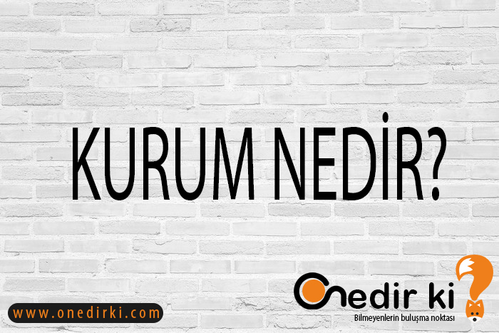 KURUM NEDİR? 1