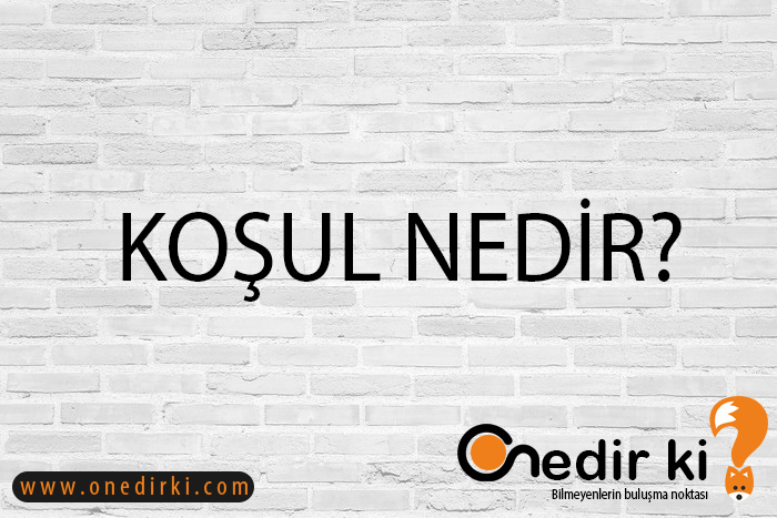 KOŞUL NEDİR? 1