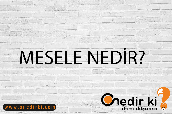 MESELE NEDİR? 1