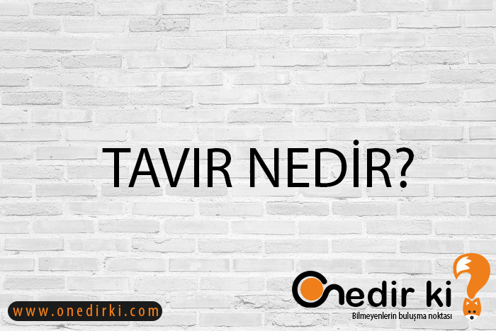 TAVIR NEDİR? 2