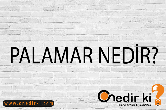 PALAMAR NEDİR? 1