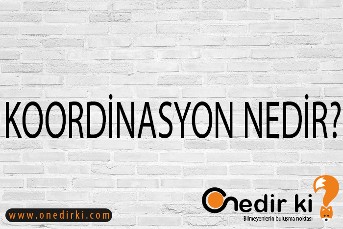 KOORDİNASYON NEDİR? 7