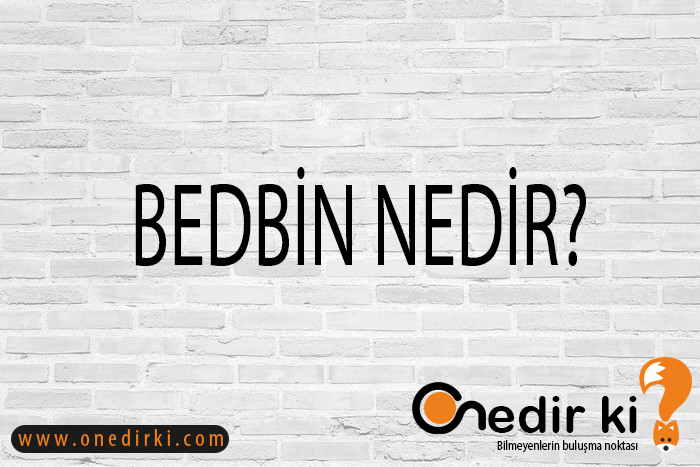 BEDBİN NEDİR? 1