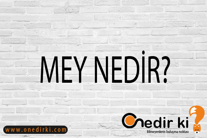 MEY NEDİR? 1