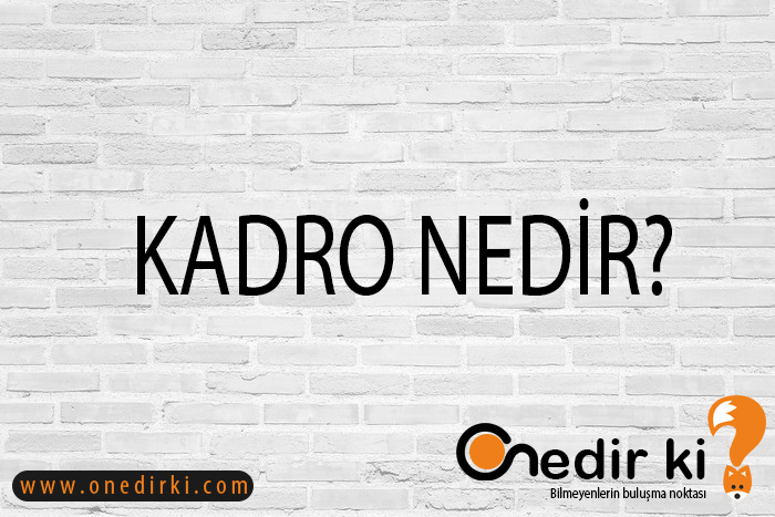 KADRO NEDİR? 2