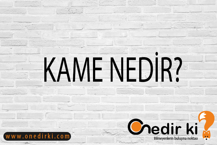 KAME NEDİR? 10