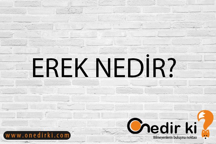 EREK NEDİR? 4