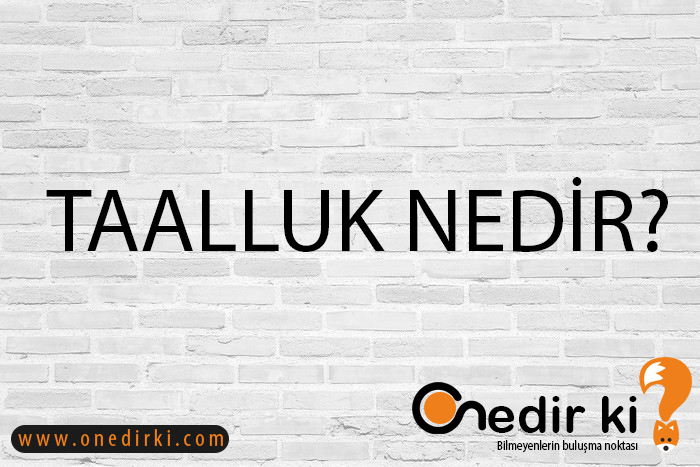 TAALLUK NEDİR? 1