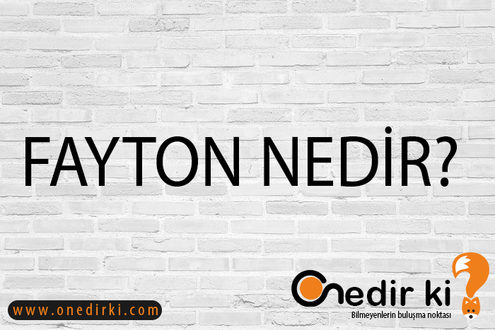 FAYTON NEDİR? 2