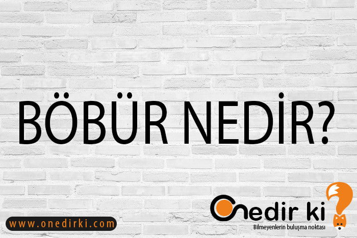 BÖBÜR NEDİR? 2