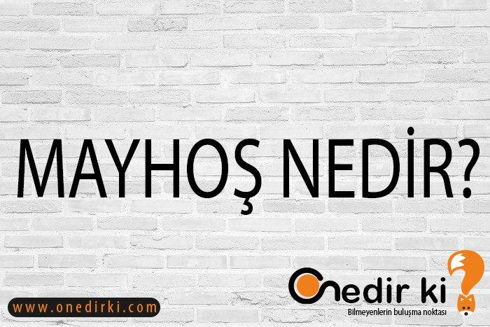 MAYHOŞ NEDİR? 1