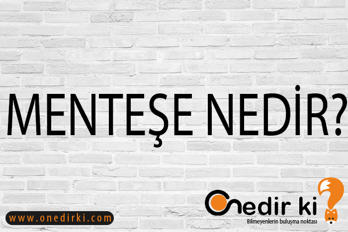 MENTEŞE NEDİR? 1