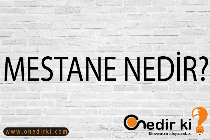 MESTANE NEDİR? 10