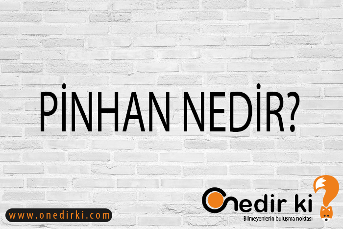 PİNHAN NEDİR? 8