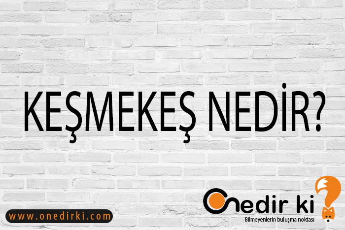 KEŞMEKEŞ NEDİR? 1