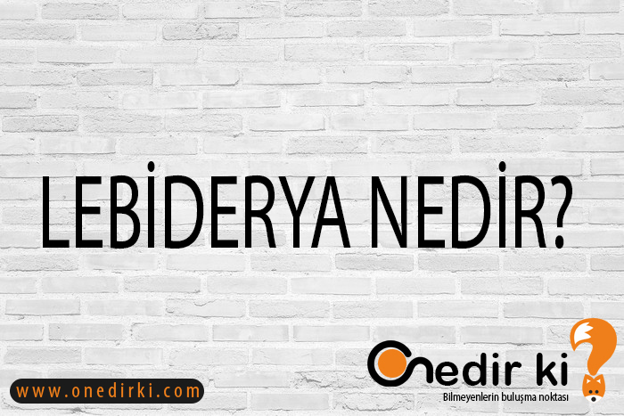 LEBİDERYA NEDİR? 1