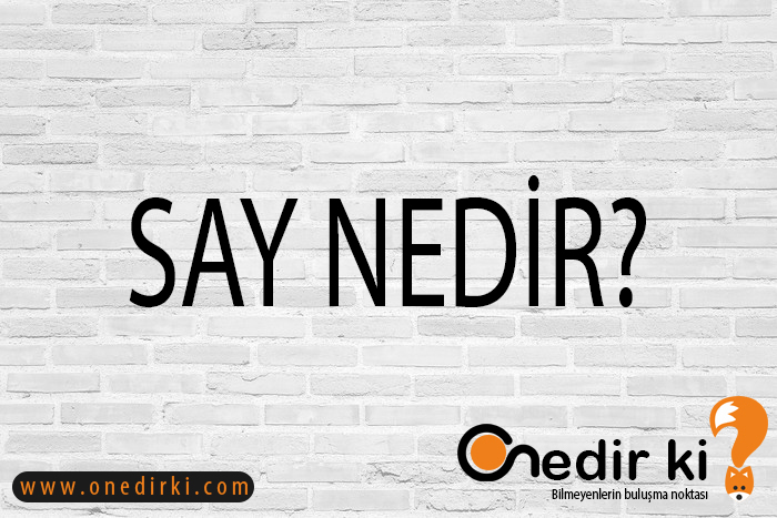 SAY NEDİR? 9