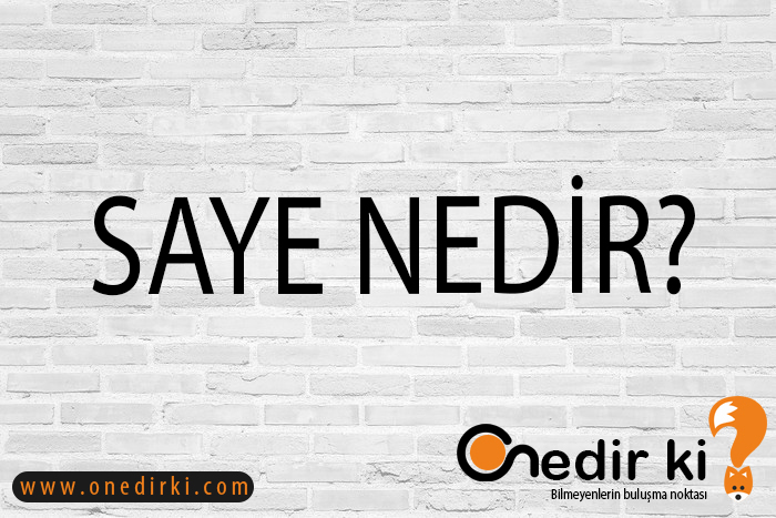 SAYE NEDİR? 1