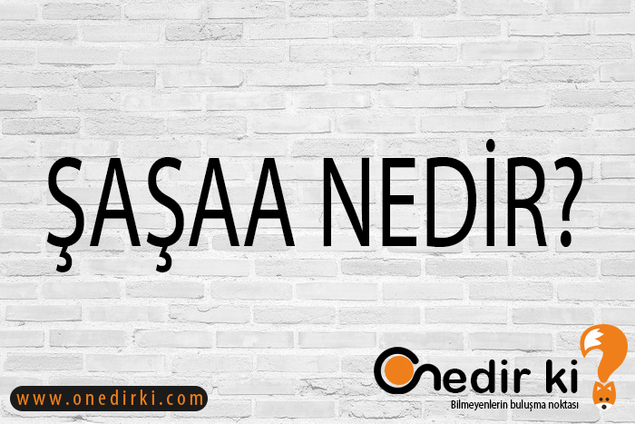 ŞAŞAA NEDİR? 10