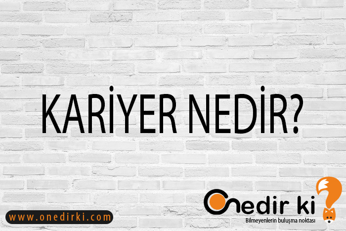 KARİYER NEDİR? 10