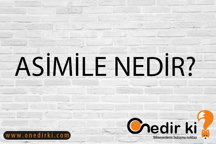 ASİMİLE NEDİR? 3