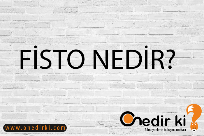 FİSTO NEDİR? 1