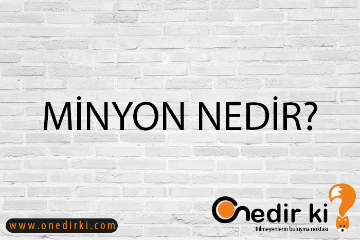 MİNYON NEDİR? 2