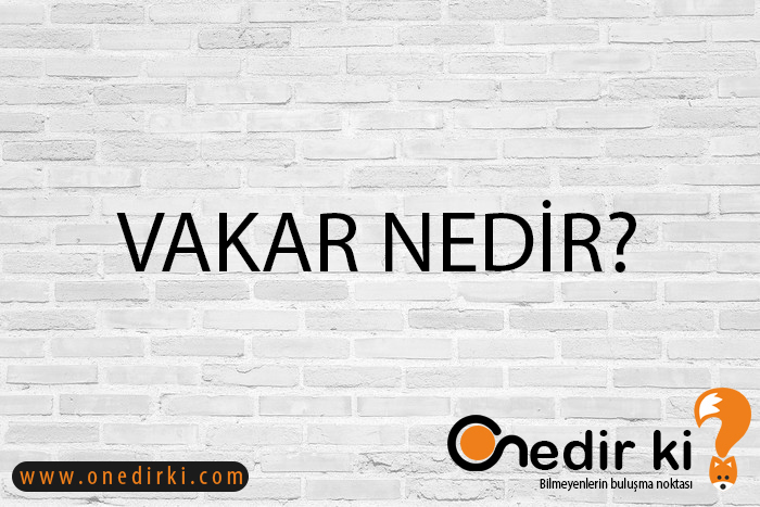 VAKAR NEDİR? 3