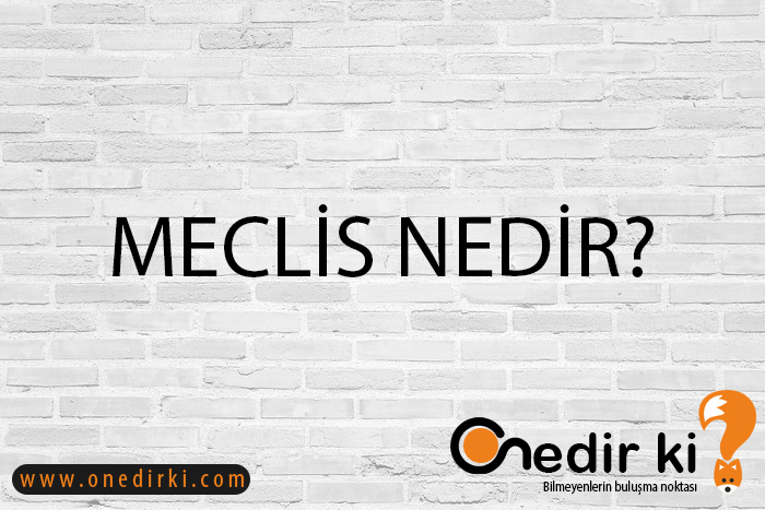 MECLİS NEDİR? 1