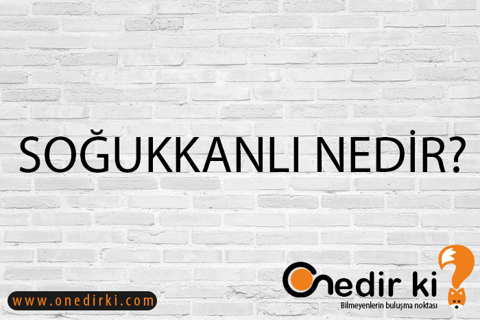 SOĞUKKANLI NEDİR? 3