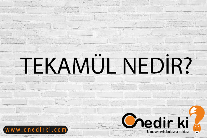 TEKAMÜL NEDİR? 2