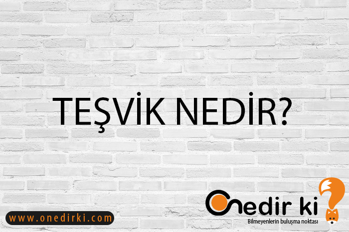 TEŞVİK NEDİR? 1