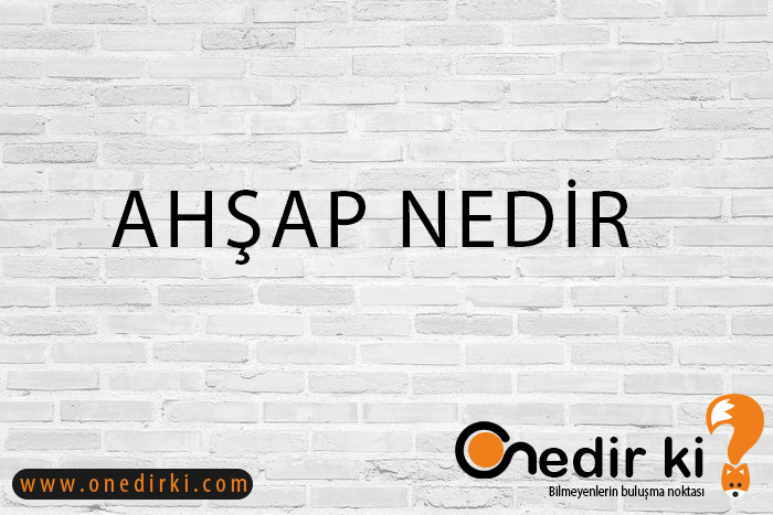 AHŞAP NEDİR? 1