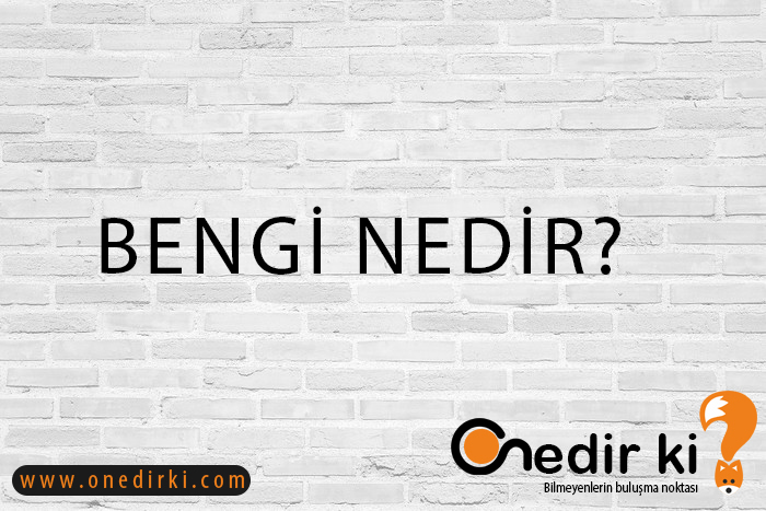 BENGİ NEDİR? 1